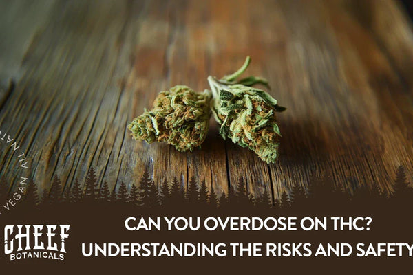 Can You Overdose on THC? Understanding the Risks and Safety