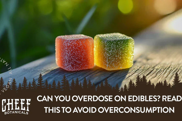 Can You Overdose on Edibles? Read This to Avoid Overconsumption