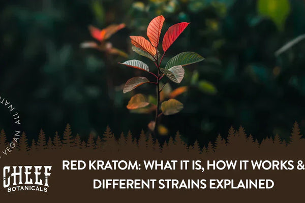 Red Kratom: What It Is, How It Works & Different Strains Explained