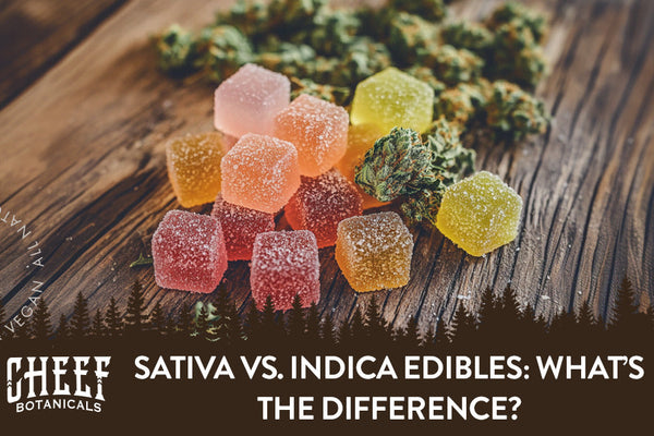 Sativa vs. Indica Edibles: What’s the Difference?