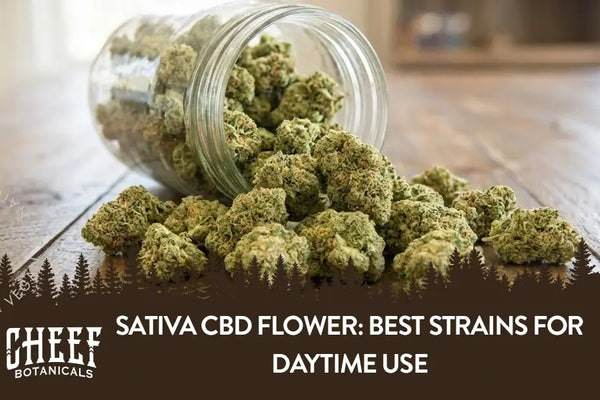 Sativa CBD Flower: Best Strains for Daytime Use