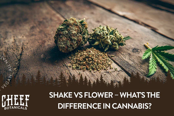 Shake vs Flower – What’s the Difference in Cannabis?