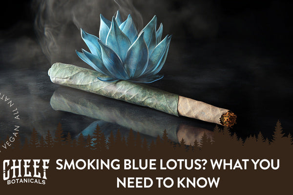 Smoking Blue Lotus? What You Need to Know