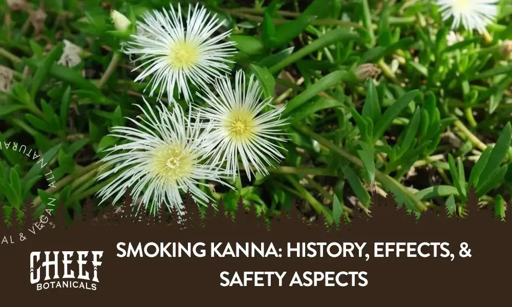 A kanna plant growing outside with the title "Smoking kanna".