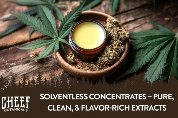 Types of Solventless Concentrates: Clean, Full-Flavor Dabs!
