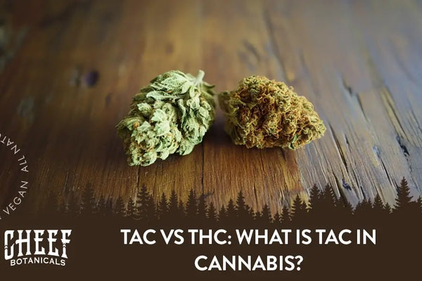 TAC vs THC: What Is TAC in Cannabis?