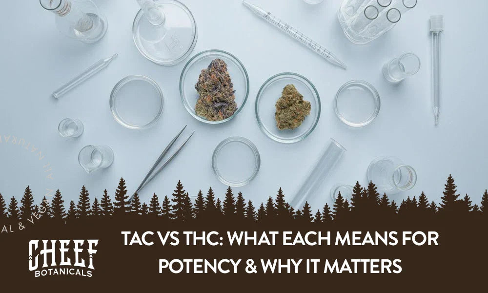 Two different cannabis buds sitting in petri dishes with the title "TAC vs THC". 