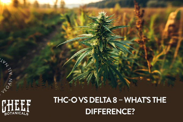THC-O vs Delta 8 – What’s the Difference?