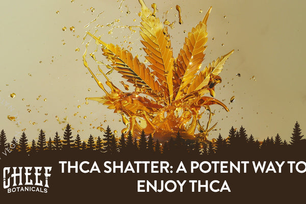 THCa Shatter: A Potent Way to Enjoy THCa