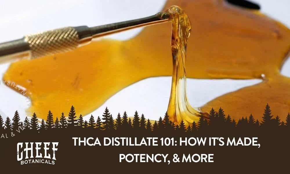 THCa distillate being pulled up by a metal dab tool with the title "THCa distillate 101".