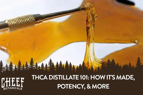 THCa Distillate 101: How It's Made, Potency, & More