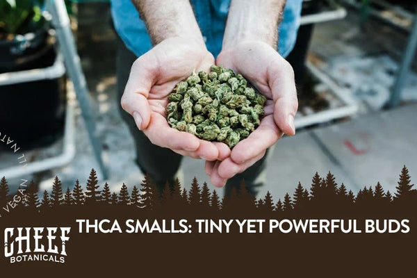 THCa Smalls: Tiny Yet Powerful Buds