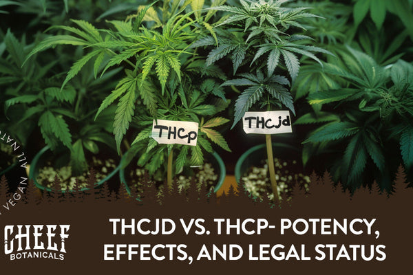 THCJD vs. THCp- Potency, Effects, and Legal Status Explained