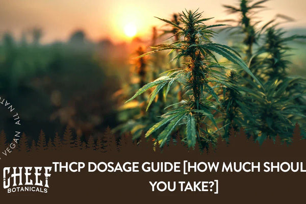 THCp Dosage Guide [How Much Should You Take?]
