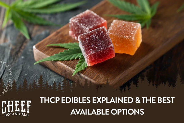 THCp Edibles Explained & The Best Available Options