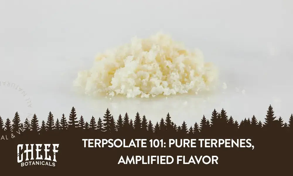 A pile of white terpsolate with the title "Terpsolate 101".