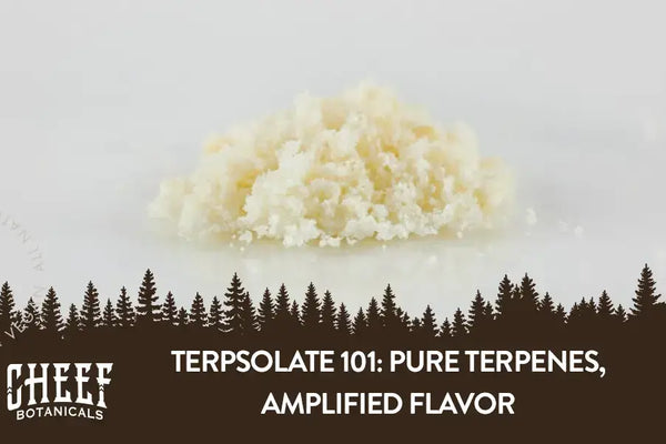 Terpsolate 101: Pure Terpenes, Amplified Flavor