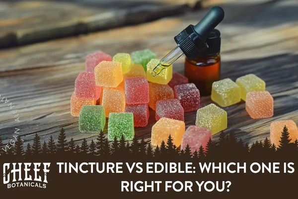 Tincture vs Edible: Which One Is Right for You?