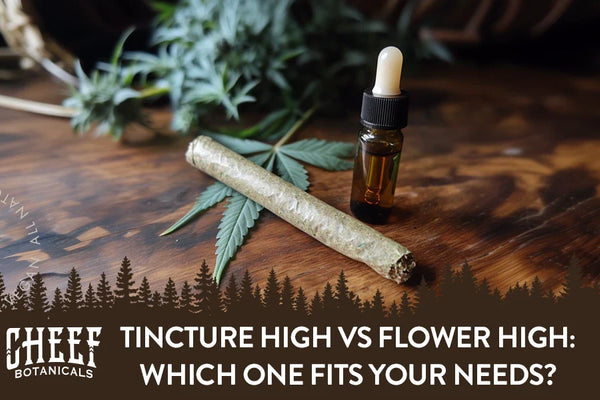 Tincture High vs Flower High: Which One Fits Your Needs?