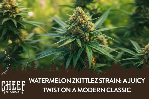 Watermelon Zkittlez Strain: A Juicy Twist on a Modern Classic