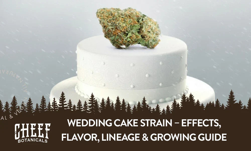 A Wedding Cake cannabis bud sitting on top of a wedding cake.