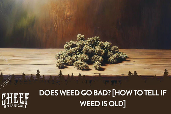 Does Weed Go Bad? [How to Tell if Weed is Old]