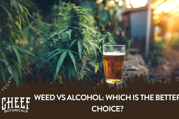 Weed vs Alcohol: Which Is the Better Choice?