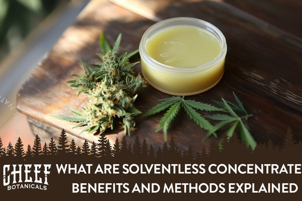 What Are Solventless Concentrates? Benefits and Methods Explained