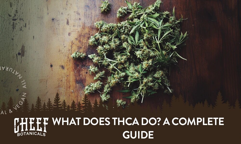 What Does THCa Do? A Complete Guide