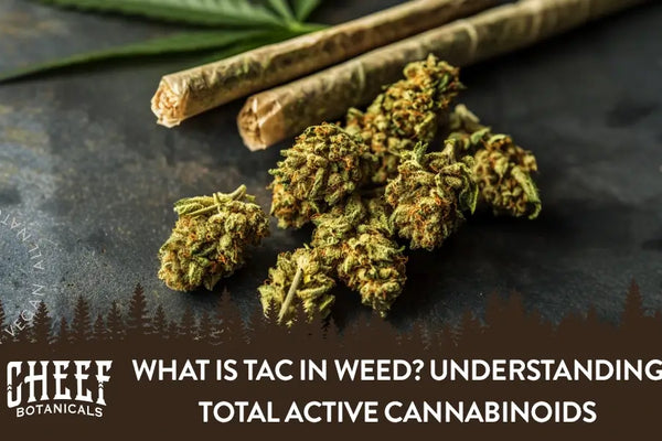 What is TAC in Weed? Understanding Total Active Cannabinoids