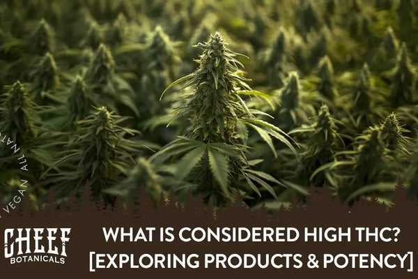 What Is Considered High THC? [Exploring Products & Potency]