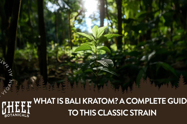 What Is Bali Kratom? A Complete Guide to This Classic Strain