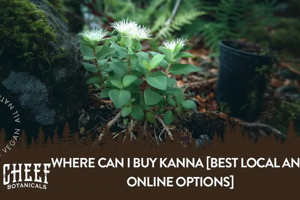 Where Can I Buy Kanna [Best Local and Online Options]