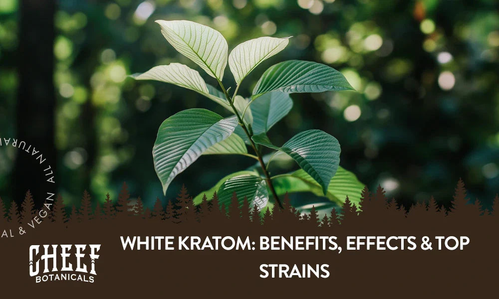 A white kratom plant growing naturally outside with the title "White kratom".