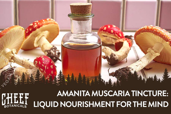 Amanita Muscaria Tincture - Liquid Fly Agaric Drops
