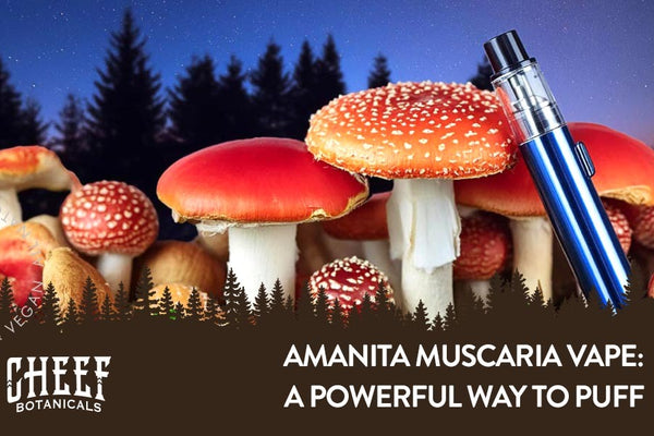 Amanita Muscaria Vape: Instant & Potent Effects