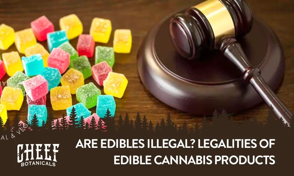 Are Edibles Illegal featured blog image by Cheef Botanicals. Shows some cannabis edibles (gummies) next to a judge's gavel and sound block.
