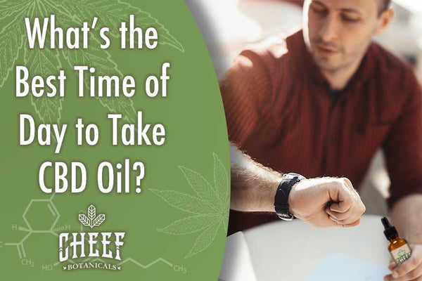 What is the Best Time of Day to Take CBD Oil?