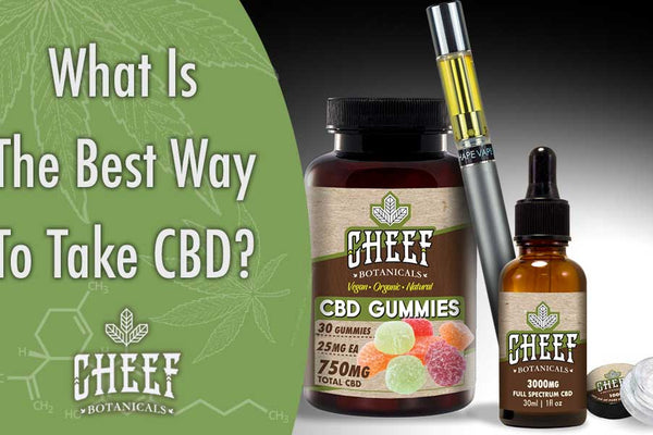What is the Best Way to Take CBD? [Maximize the Effectiveness]