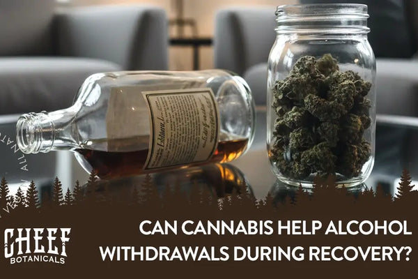 Can Cannabis Help Alcohol Withdrawal? Blazing Through Recovery