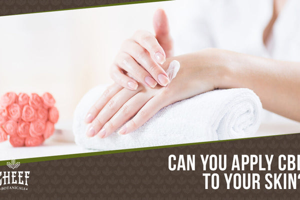 Can CBD Be Absorbed Through the Skin? A Deep Dive Below The Surface