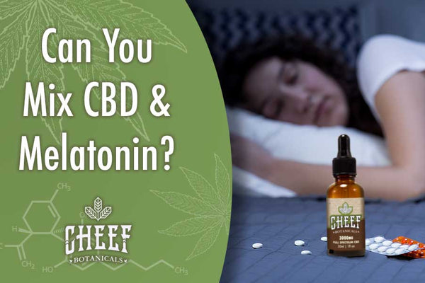 Can I Take CBD Oil With Melatonin?
