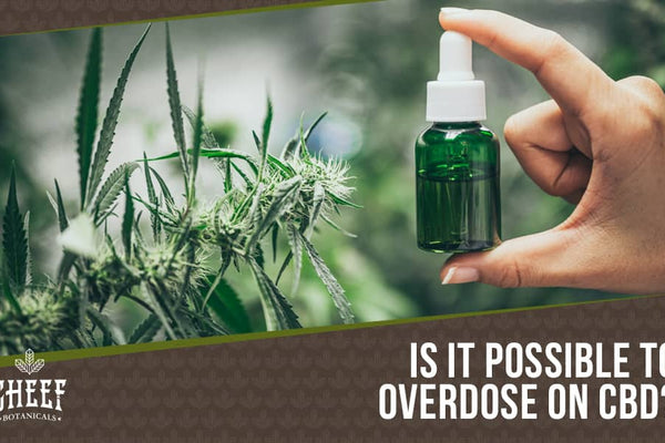 Can You Overdose On CBD?