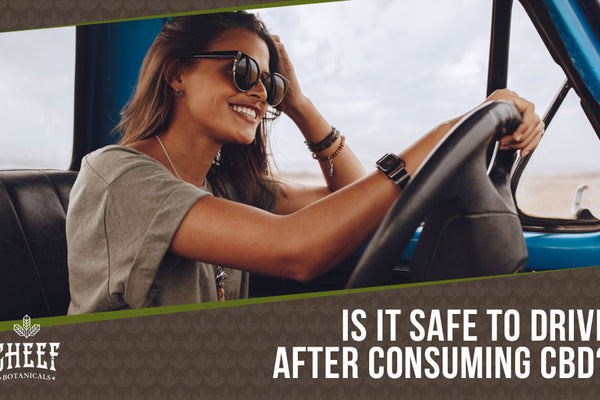 CBD And Driving: Is It Safe &amp; Is It Legal?