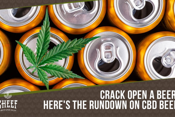 CBD Beer: Take Some Of The Edge Off With The Power Of Cannabinoids