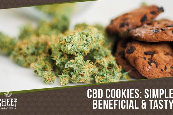 The Best CBD Cookies Recipe You Can Easily Make Anytime!