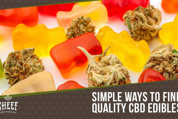CBD Edibles Near Me [Your #1 Local Guide]