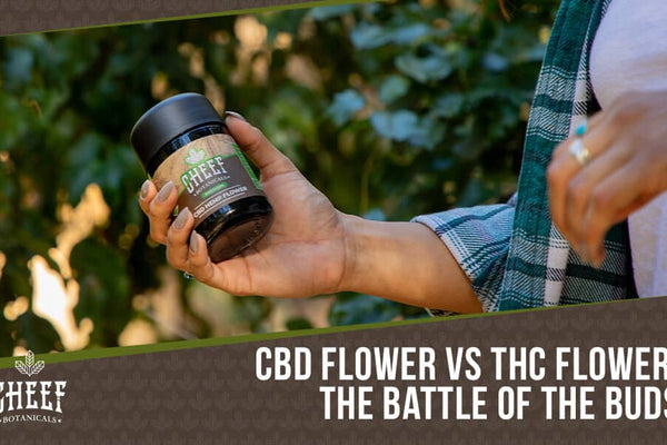 CBD Flower vs THC Flower: How To Tell Them Apart