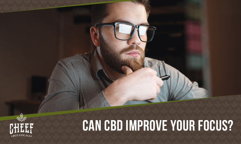 cbd for focus