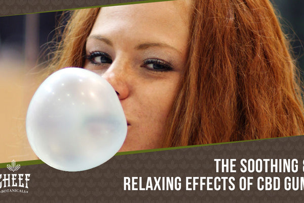 CBD Gum: Sweet Flavors, Strong Potencies, & Long Lasting Effects